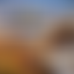 affitti brevi firenze: la decisione della corte costituzionale