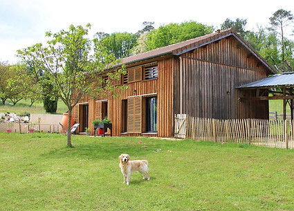 Jardin Séchoir de Saint Vincent et chien golden de la famille
