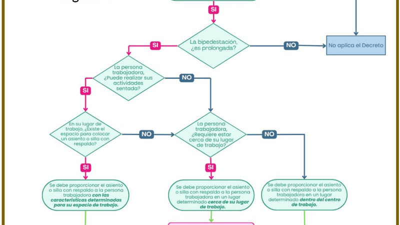 RESUMEN EJECUTIVO DISPOSICIONES COMPLEMENTARIAS "LEY SILLA"