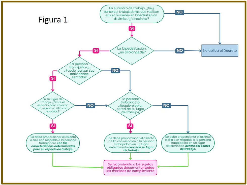 RESUMEN EJECUTIVO DISPOSICIONES COMPLEMENTARIAS "LEY SILLA"