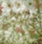 Light_04-1.jpg