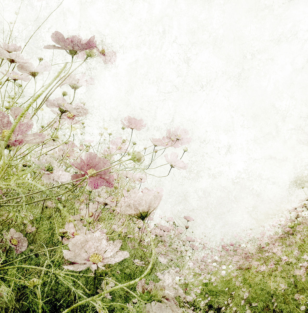 Light_09.jpg