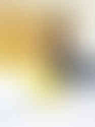 IMG_20240828_173456_resized_20240828_071616118 mod