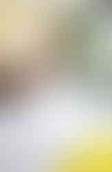 IMG_20240828_173510_resized_20240828_071619082 mod