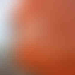 8CEC8DBF-E7F3-4F2D-AC31-C491C865E024