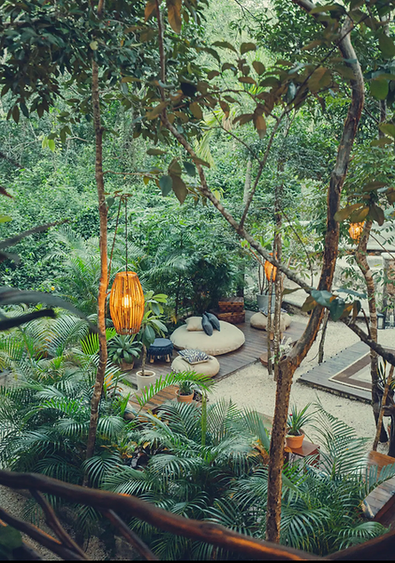 image (3269).png