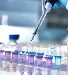 Test Tubes