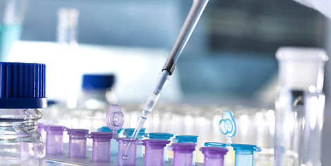 Scena di lavoro in laboratorio