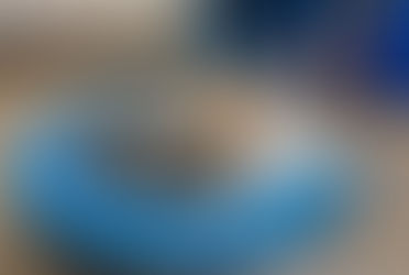 Canine Physiotherapist: Enhancing Your Animal's Flexibility and Wellness