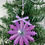 Thumbnail: Purple Glitter Snowflake Ornament