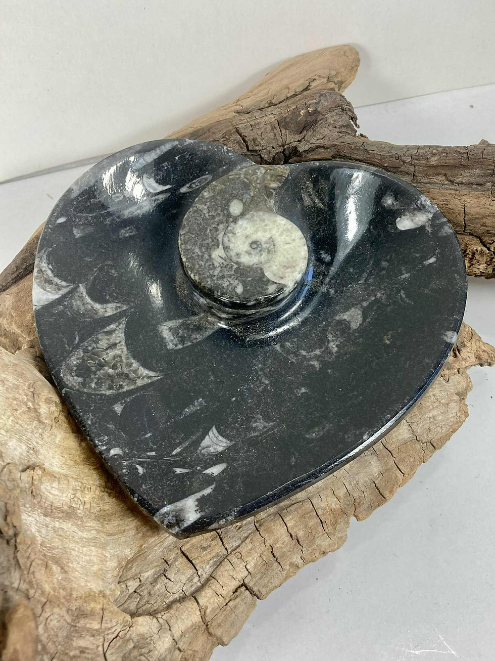 Orthoceras Fossil Heart Dish – Fossil Stone Bowl for Crystals & Décor