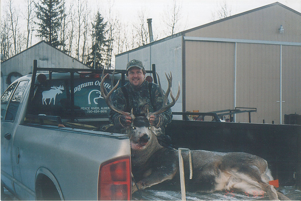 Deer+3.jpg
