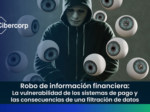 Robo de información financiera: La vulnerabilidad de los sistemas de pago y las consecuencias de una filtración de datos