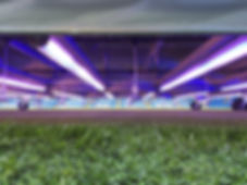 LED 14 Close.jpeg