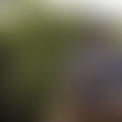 Productor de zarzamora