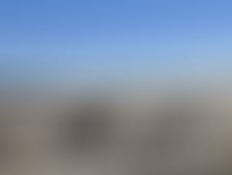 Campos de berries congelados