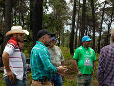 ¿CÓMO ASEGURA LA APEAM LA SUPERVIVENCIA DE LAS PLANTAS REFORESTADAS?
