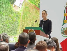 OMITEN EN INFORME RETOS EN EL CAMPO