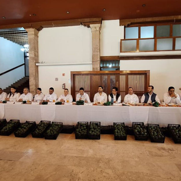 NACE PRO AGUACATE MICHOACÁN; BUSCAN FORTALECER AL SECTOR Y DIVERSIFICAR MERCADOS