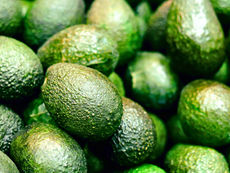 Aguacates de Perú