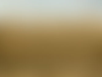 Impacto de la crisis del maíz actual en México