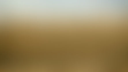 Impacto de la crisis del maíz actual en México