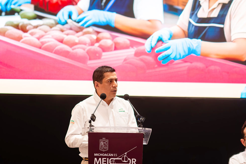 Ing. Raúl Ernesto Martínez Pulido/Presidente de APEAM