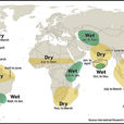 Efecto climático "El Niño"