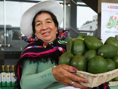 Mujer peruana con paltas