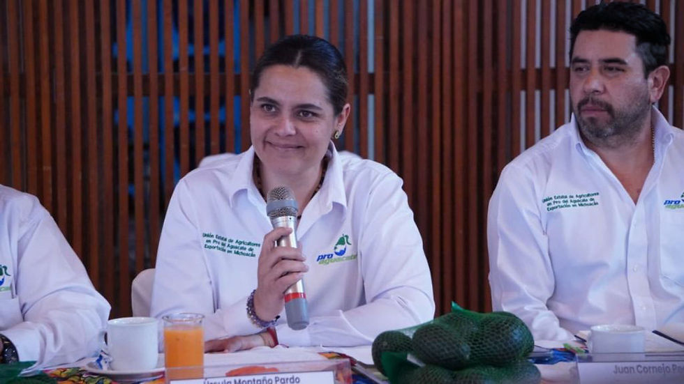 Úrsula Montaño, vicepresidenta de la Unión Pro Aguacate Michoacán (Foto: Alejandro Hernández