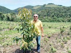 Adilson Luis Peñarol, presidente de la Asociación Brasileña del Aguacate