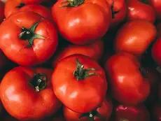 Deliciosos tomates