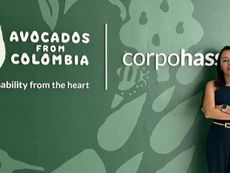 Avocados from Colombia