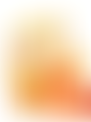 The NUOVO Fall Lip Combo