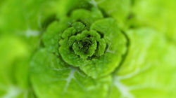 P6110661