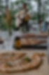 WildCactus-16.jpg