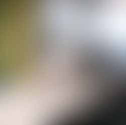 Lucky Penny Digital Marketing Agency Bournemouth