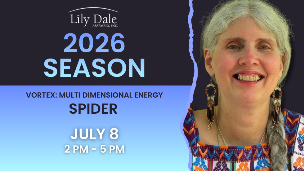 Vortex: Multi Dimensional Energy with Spider