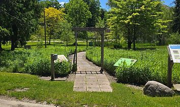 butterfly Garden