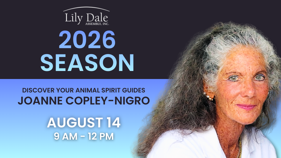 Discover Your Animal Spirit Guides