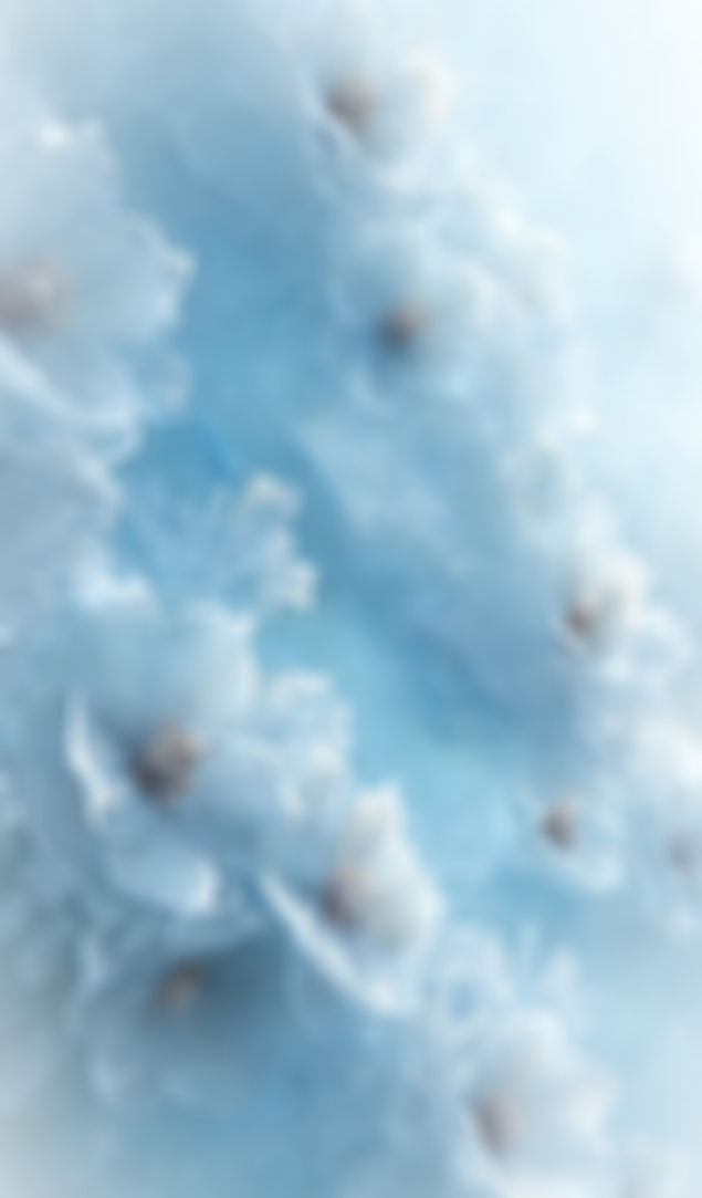 未标题-2_edited.jpg
