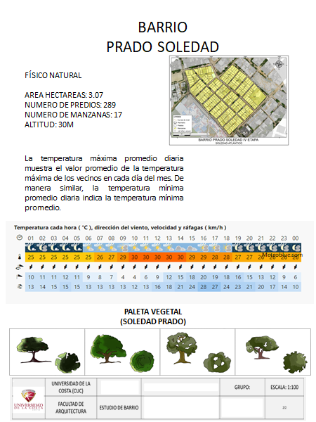 Tipos de tratamientos, búsqueda de un lote y primeros proyectos.