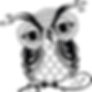 The Cheeky Owl