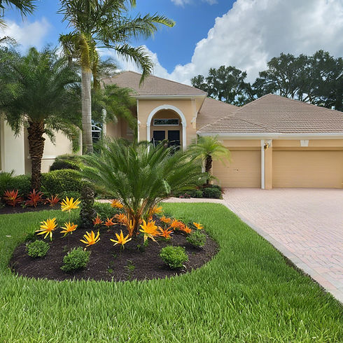 perfect florida lawn.jpg