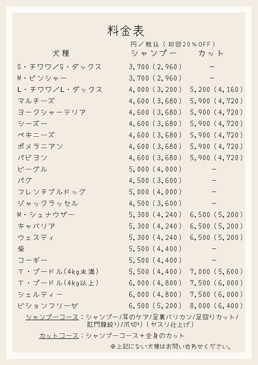 Beige and Ivory Minimal Elegant Spa Salon Price List Flyer - 1.jpeg