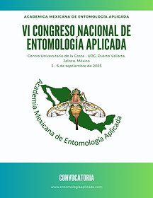 AMEA PORTADA 2025.png