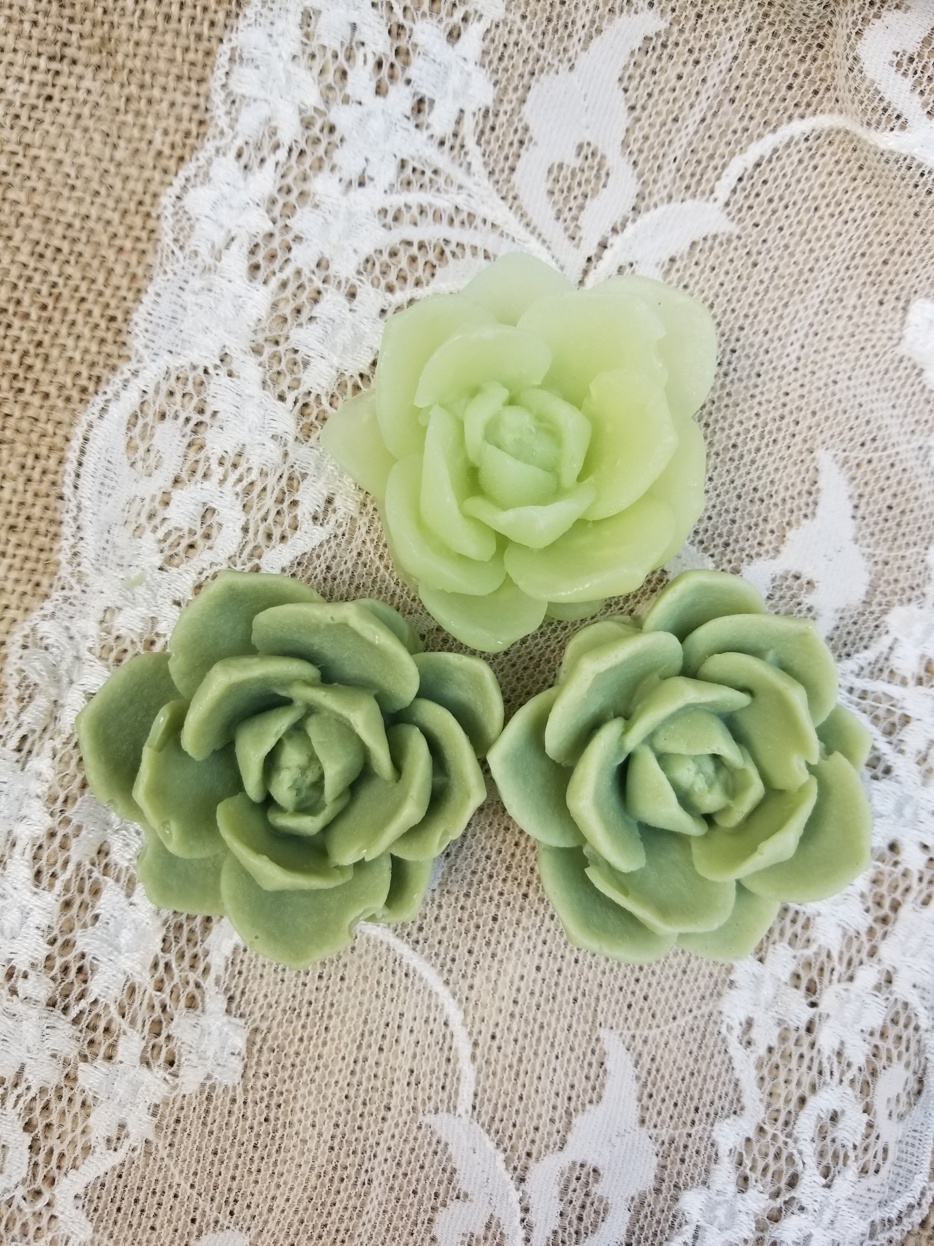 Succulent Soaps (2 small blooms)
