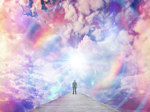 Holistic Healing: Therapeutic Mushrooms for Pain Relief