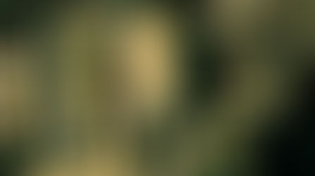 Les Puces de Saint OUEN