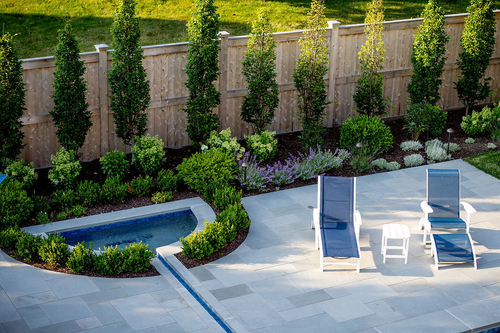 Finished spa and pool terrace with loungers and cypress